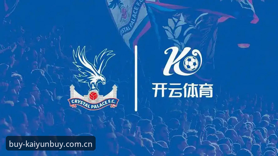 开云体育平台使用详解——从入口到数据对比，行家这样玩